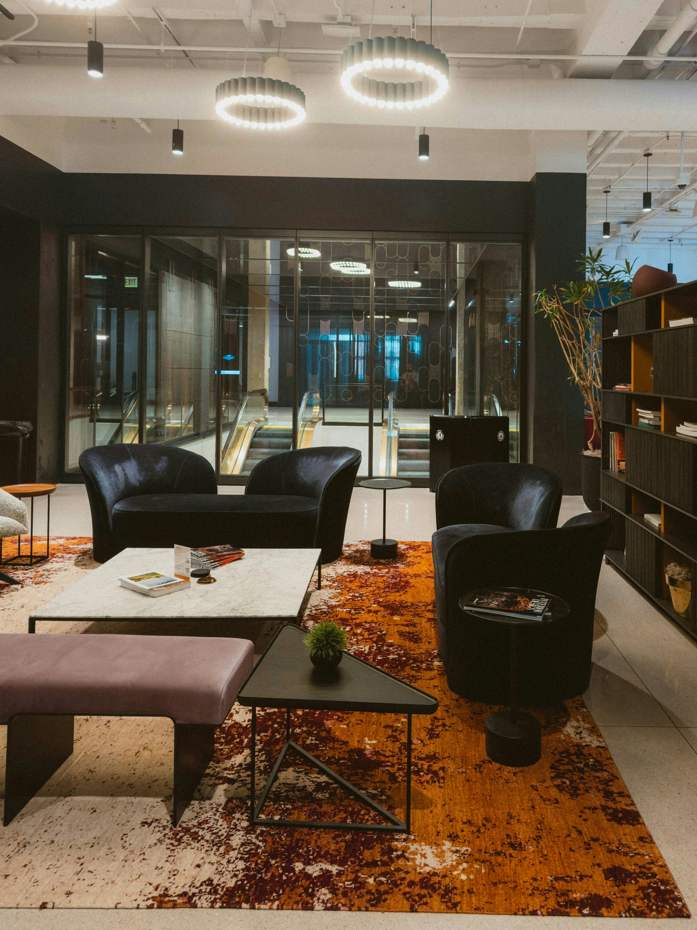 Modern Area Rug